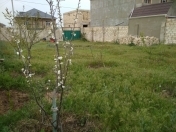 Satılır 4.5 sot torpaq Sumqayıt