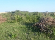 Satılır 6 sot torpaq Şəki