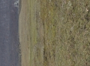 Satılır 48 sot torpaq Qusar