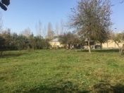 Satılır 30 sot torpaq Qəbələ