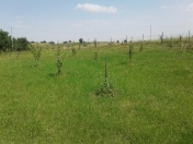 Satılır 12 sot torpaq Ağstafa