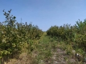 Satılır 3.6 sot torpaq Şabran