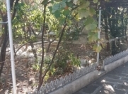 Satılır 12 sot torpaq 8 mkr