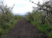 Satılır 120 sot torpaq Quba