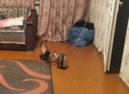 İcarəyə verilir 2 otaqlı 50 m2 köhnə tikili 3 mkr