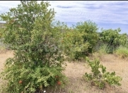 Satılır 10 sot torpaq Buzovna