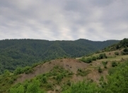 Satılır 8 sot torpaq İsmayıllı