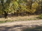 Satılır 7 sot torpaq Qusar