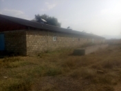 Satılır 1500 sot torpaq Masallı