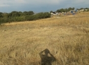 Satılır 12 sot torpaq Şamaxı