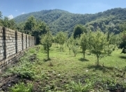 Satılır 60 sot torpaq Qəbələ