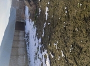 Satılır 7 sot torpaq Qəbələ