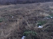 Satılır 29 sot torpaq Şəki