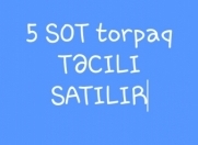 Satılır 5 sot torpaq Qəbələ