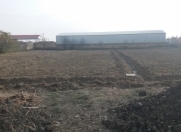 Satılır 30 sot torpaq Salyan