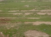 Satılır 50 sot torpaq Y.Suraxanı