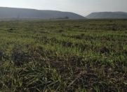 Satılır 285 sot torpaq Siyəzən