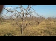 Satılır 75 sot torpaq Quba