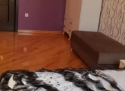 Satılır 2 otaqlı 125 m2 yeni tikili Cavanşir körpüsü