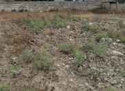 Satılır 6 sot torpaq Maştağa