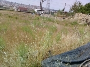 Satılır 5 sot torpaq Biləcəri