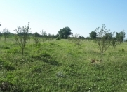 Satılır 250 sot torpaq İsmayıllı