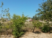 Satılır 10 sot torpaq Sumqayıt