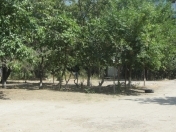 Satılır 4 sot torpaq Xırdalan