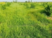 Satılır 1000 sot torpaq Xaçmaz