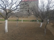 Satılır 8.25 sot torpaq Buzovna