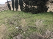 Satılır 9 sot torpaq Ramana