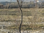 Satılır 20 sot torpaq Qusar