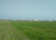 Satılır 104 sot torpaq Xaçmaz