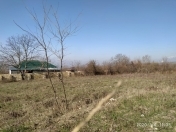 Satılır 10 sot torpaq İsmayıllı