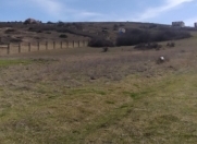 Satılır 12 sot torpaq Şamaxı