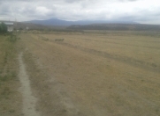 Satılır 857 sot torpaq Şabran