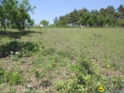 Satılır 33 sot torpaq Oğuz