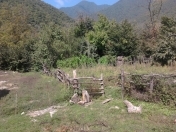 Satılır 17 sot torpaq Qax