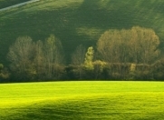 Satılır 6 sot torpaq Gəncə