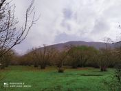 Satılır 19 sot torpaq Qax