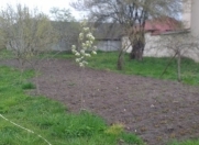 Satılır 8.5 sot torpaq İsmayıllı