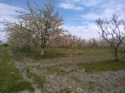 Satılır 120 sot torpaq Xaçmaz