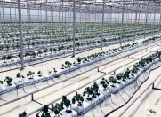 Satılır 15 otaqlı 40000 m2 obyekt Koroğlu m.