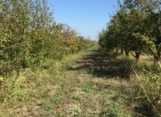 Satılır 51 sot torpaq Xaçmaz