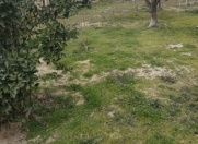 Satılır 4 sot torpaq Sumqayıt