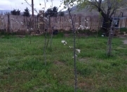 Satılır 12 sot torpaq Xocəsən