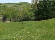 Satılır 20 sot torpaq Quba