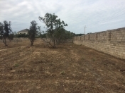 Satılır 12 sot torpaq Ramana