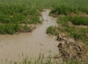 Satılır 1 sot torpaq Şabran