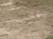 Satılır 6 sot torpaq Buzovna